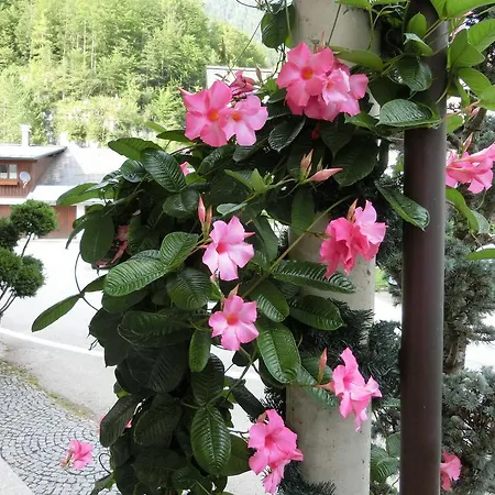 酒店 Haus Am See