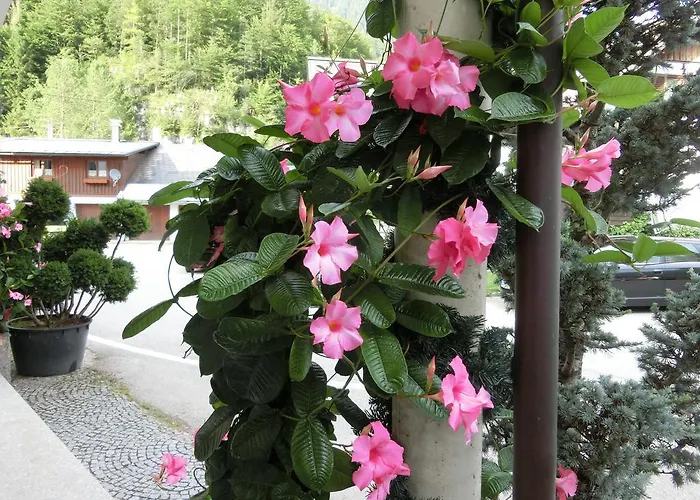 Ξενοδοχείο Haus Am - Hallstatt