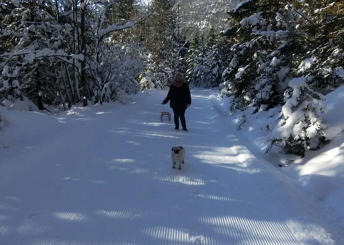 Hotel Haus Am - Hallstatt 3*
