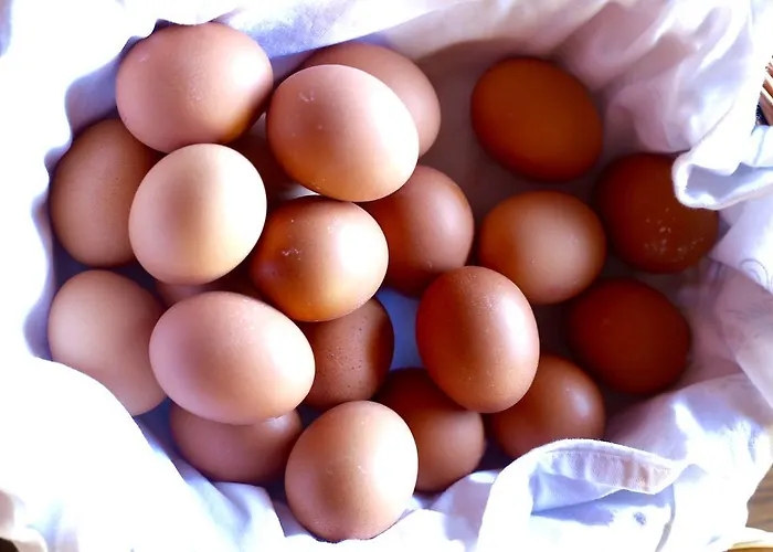 Hotel Haus Am - Hallstatt Obertraun