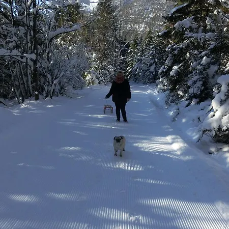 酒店 湖畔之家酒店 3*
