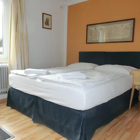 湖畔之家酒店 上特劳恩