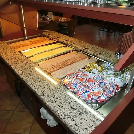 湖畔之家酒店 3* 上特劳恩