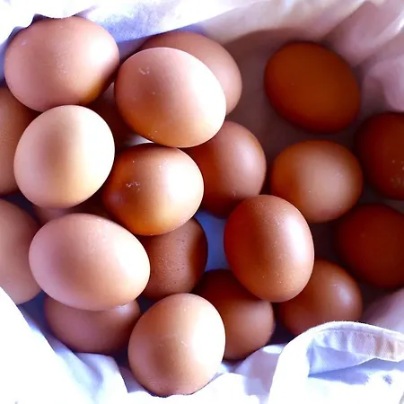 酒店 湖畔之家酒店 上特劳恩