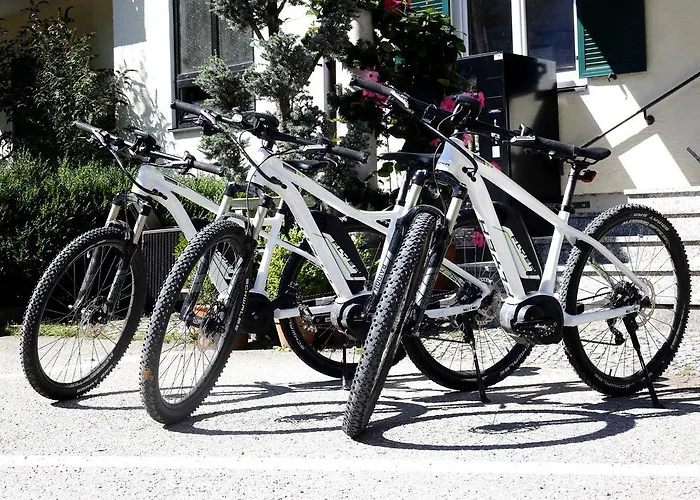 Haus Am - Hallstatt Ξενοδοχείο 3*